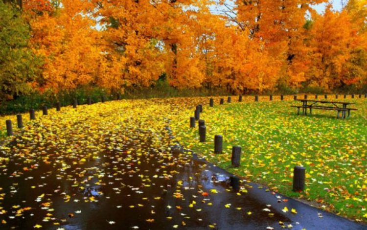 Vremea va fi frumoasă şi deosebit de caldă în următoarele zile