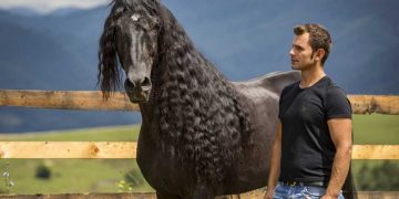 Cel mai talentat îmblânzitor de cai din lume e maramureșean