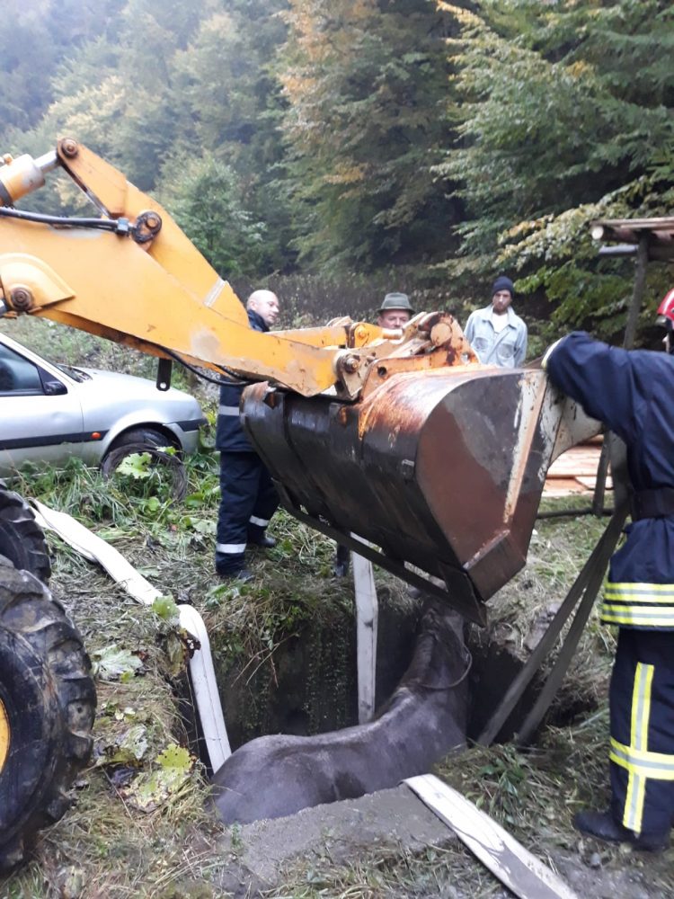 Cal salvat după ce a căzut într-un bazin, la Blidari – FOTO
