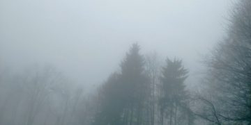 Pericol uriaș de accidente! 28 judeţe sunt sub cod galben de ceață