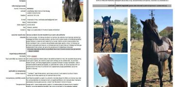 Cal cu „CV” pus la vânzare pe Facebook