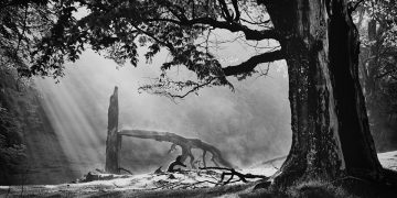 Expoziţie de fotografie „Memento mori”, la Teatrul Municipal