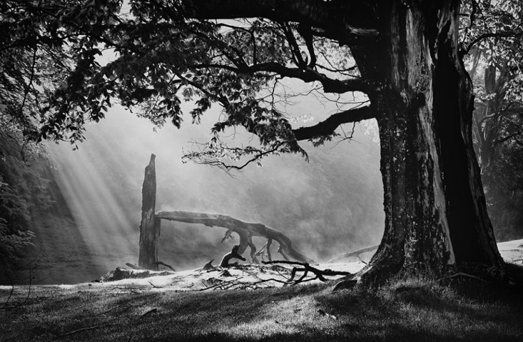 Expoziţie de fotografie „Memento mori”, la Teatrul Municipal