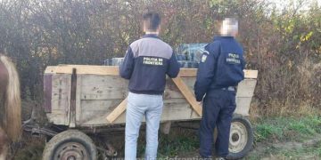 Urmărire cu focuri de armă între o căruţă și poliţiștii de frontieră, în Satu Mare