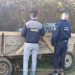 Urmărire cu focuri de armă între o căruţă și poliţiștii de frontieră, în Satu Mare