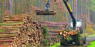 Mobilizare EXEMPLARĂ. Românii IES în STRAĐĂ după ce un pădurar cu trei copii a fost EXECUTAT de mafia lemnului