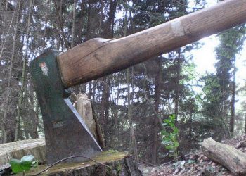 EDITORIAL – Atenție! Arde pădurea!