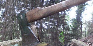 EDITORIAL – Atenție! Arde pădurea!