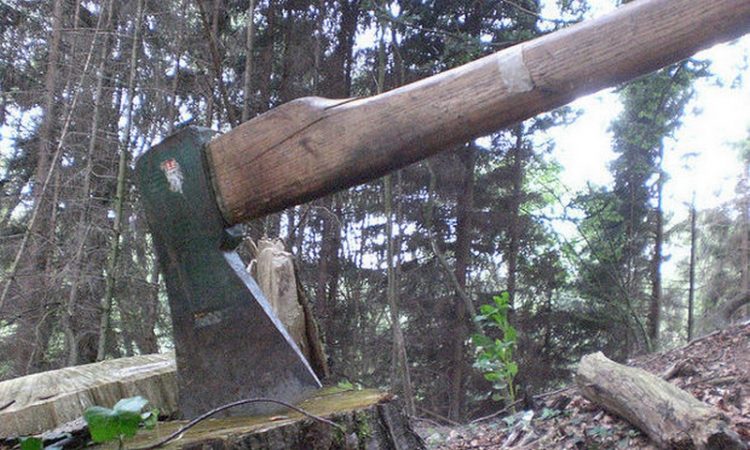 EDITORIAL – Atenție! Arde pădurea!