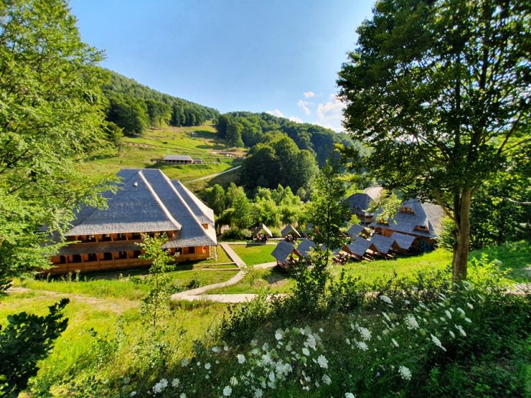 Mai multe pensiuni din Maramureș, incluse în top 10 al pensiunilor pet friendly, unde animalele de companie sunt acceptate