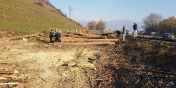 Filtre în trafic pe DN18 şi DN19: 100 de maşini au fost verificate