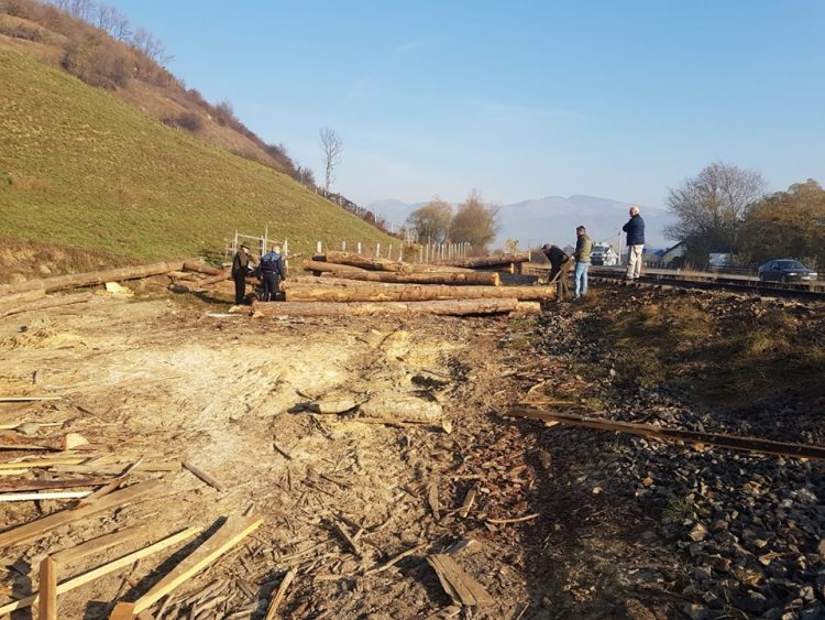 Filtre în trafic pe DN18 şi DN19: 100 de maşini au fost verificate