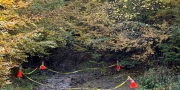 Cine sunt suspecții în cazul morții pădurarului Liviu Pop