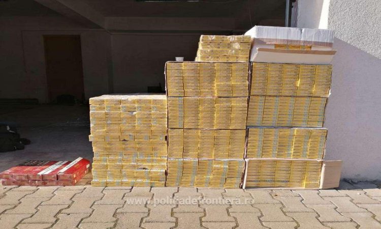 Focuri de armă, un ucrainean reţinut cu ajutorul câinelui de serviciu şi peste 6.000 de pachete cu ţigări de contrabandă confiscate