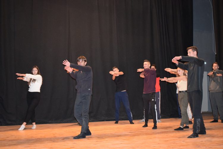 Proiect inedit. De la Viseu (Portugalia) la Vișeu de Sus (Maramureș), printr-o punte artistică