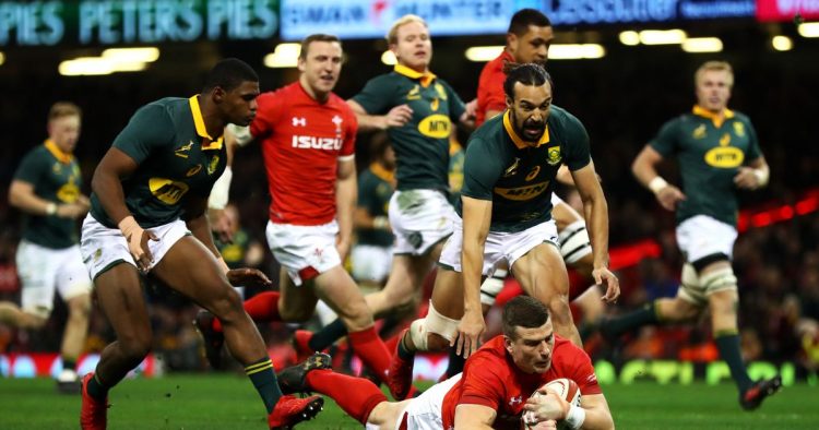 RUGBY – Africa de Sud – Anglia va fi finala Cupei Mondiale