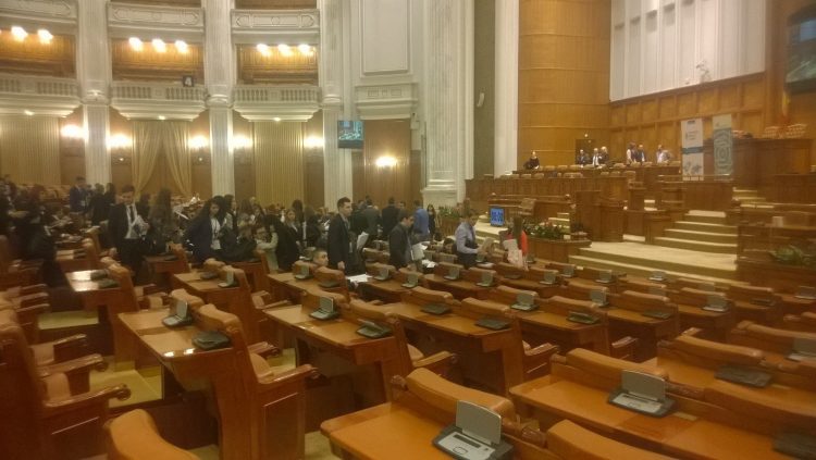 Guvernul liberal a primit votul de încredere. Când va depune jurământul de învestire noul Cabinet