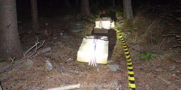 Aproximativ 38.500 de pachete cu țigări de contrabandă, confiscate la frontiera de nord a României