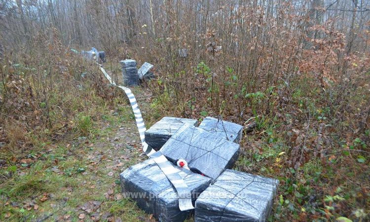 Aproximativ 25.000 de pachete cu țigări, confiscate la frontiera de nord