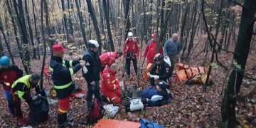 La un pas de tragedie din cauza ciupercilor – FOTO