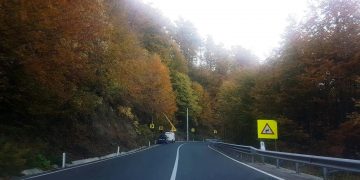 Acțiune de tăiere a arborilor marcați care pot pune în pericol desfășurarea circulației rutiere în Pasul Gutâi