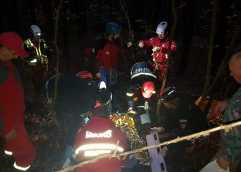 La un pas de tragedie din cauza ciupercilor – FOTO