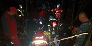 La un pas de tragedie din cauza ciupercilor – FOTO