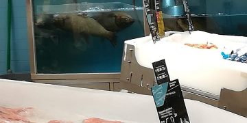 Carrefour: Are balta pește, dar peștele e mort