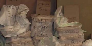 Primele incidente în procesul electoral. Doi şoferi care ar fi trebuit să transporte buletinele de vot spre secţii au fost găsiţi băuţi