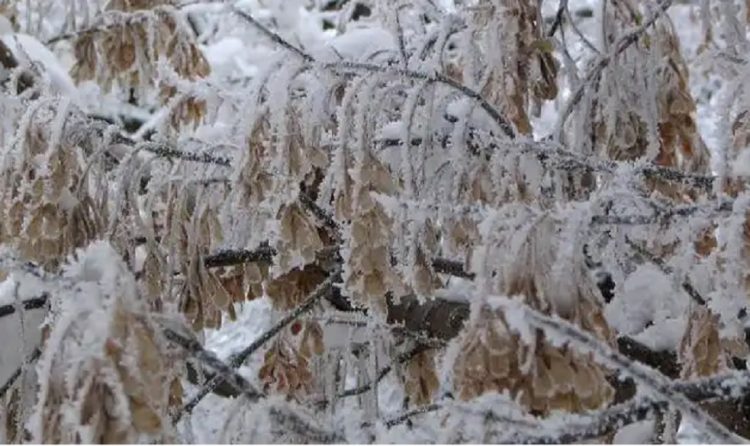 Prognoza meteo de Sfântul Andrei şi 1 Decembrie
