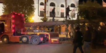 Baia Mare are brad de Crăciun: Un alt an, un alt brad, aceleași critici