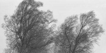 Cod Galben în Maramureș. Atenționarea s-a prelungit până la ora 2.00