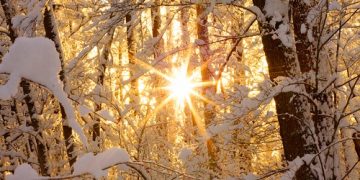 Vremea se încălzește de astăzi în toată țara