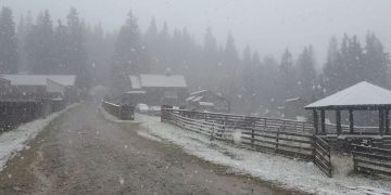 Avertizare meteorologică: Vin ninsorile în Maramureş!