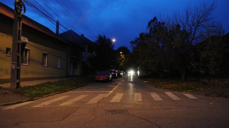 Căprioară ajuns pe străzi, salvată de jandarmi