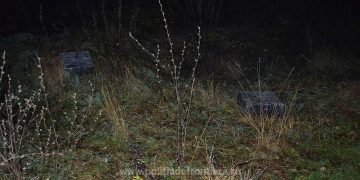 Ţigări de 14.000 lei confiscate la frontiera de nord