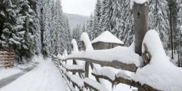 Escrocherie elucidată de polițiștii maramureșeni