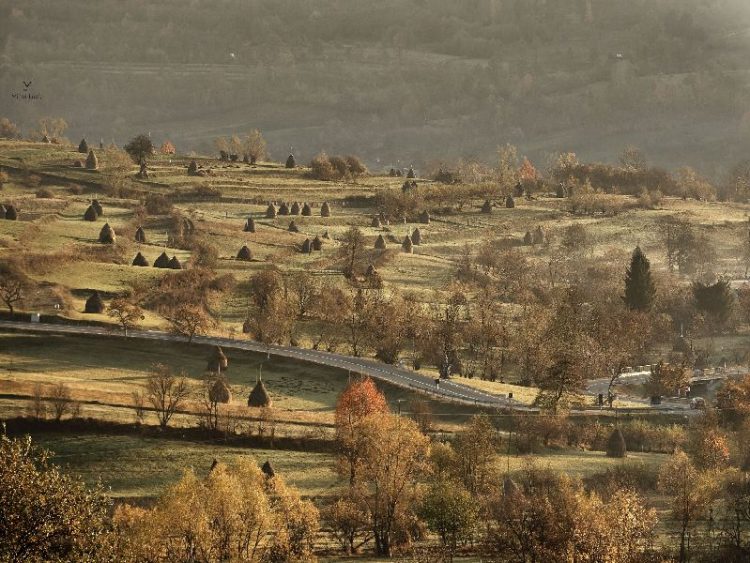 Prognoza meteorologică. Cum va fi vremea în următoarea perioadă