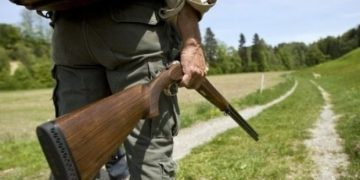 Condamnări grele la Suceava: Felicitări! În Țara Lăpușului braconajul și furtul de lemne au devenit legale