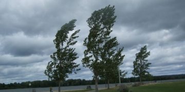 Alertă de vânt puternic, cu rafale de 90-100 km/h