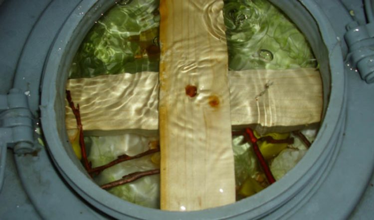 BENEFICIILE PENTRU SĂNĂTATE PE CARE LE ARE VARZA MURATĂ