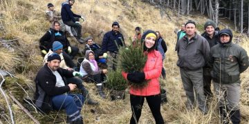 O româncă emigrată în Marea Britanie a plantat 15.000 de copaci