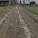 Dobricu Lăpușului – Sat uitat de lume și scufundat în nămol