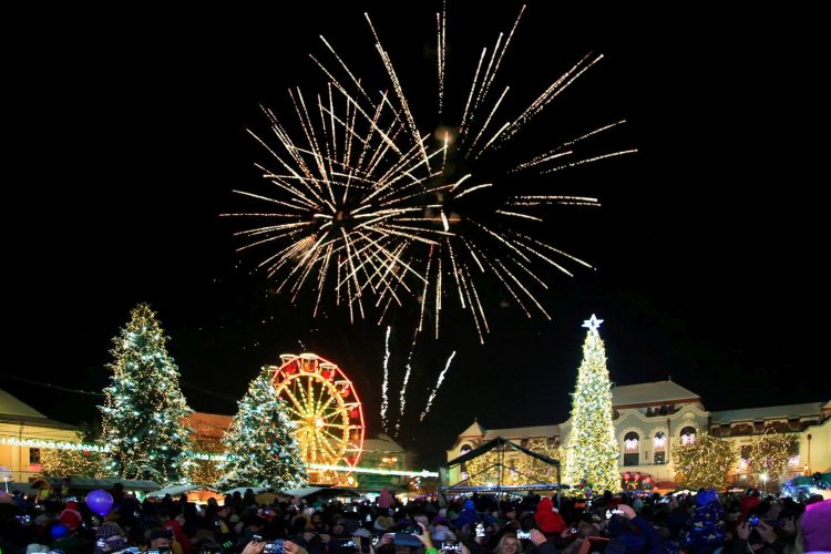 Mesajul de Anul Nou al deputatului dr. Viorica Cherecheș