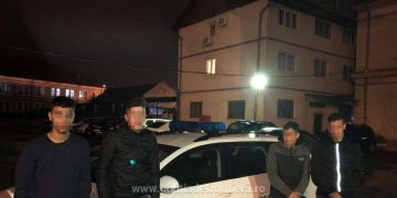 Patru migranţi, trei algerieni şi unul libian, opriți din drumul ilegal spre Ungaria
