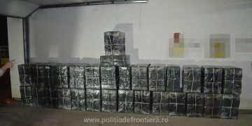 Peste 21.000 pachete cu țigări de contrabandă, confiscate la Piatra şi Valea Vişeului