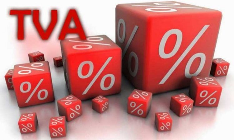 Monica Krueger, internaut, despre scăderea TVA: Cum să votezi împotriva propriului tău proiect de lege?