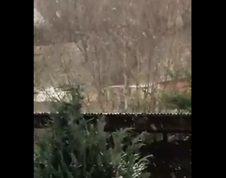Ninge ca-n povești la Borșa. VIDEO