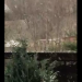 Ninge ca-n povești la Borșa. VIDEO