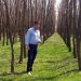 Fermier amendat de Garda de Mediu după ce a plantat 40.000 de copaci
